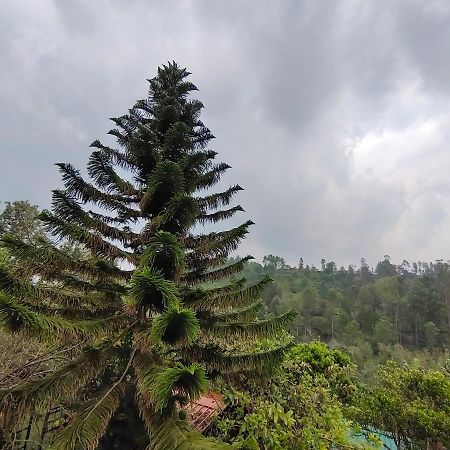 Silver Spruce Entire Nature Villa Котагири Екстериор снимка