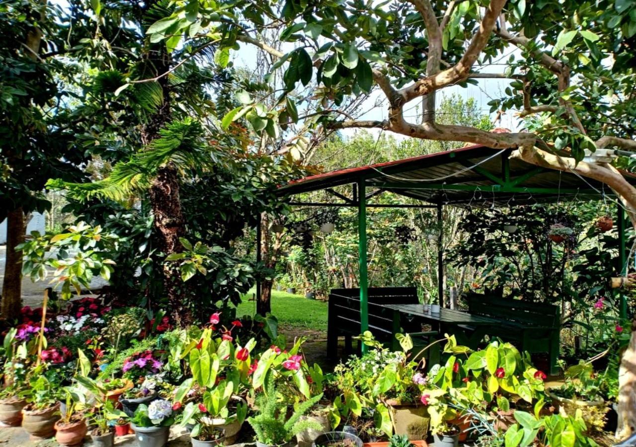 Silver Spruce Entire Nature Villa Котагири Екстериор снимка