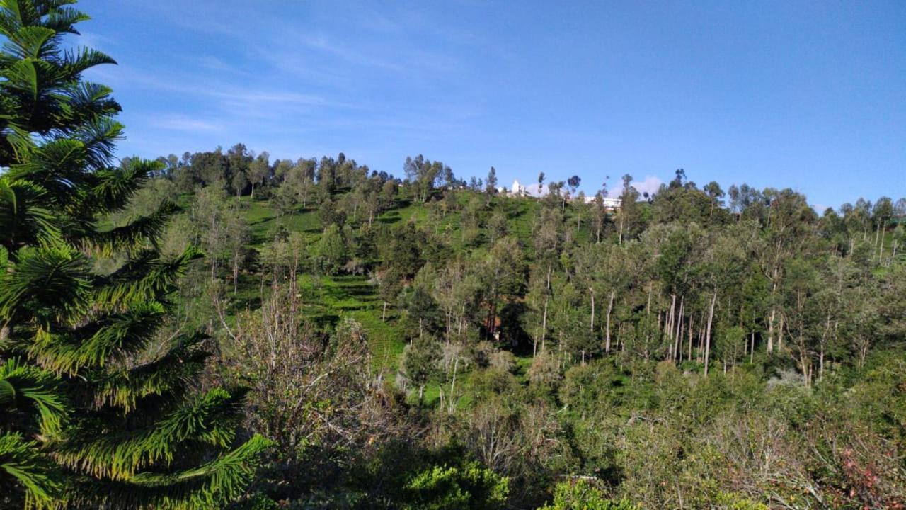 Silver Spruce Entire Nature Villa Котагири Екстериор снимка