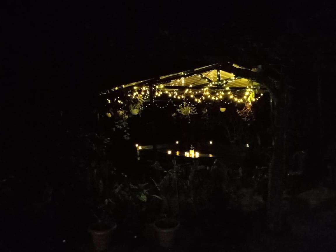 Silver Spruce Entire Nature Villa Котагири Екстериор снимка