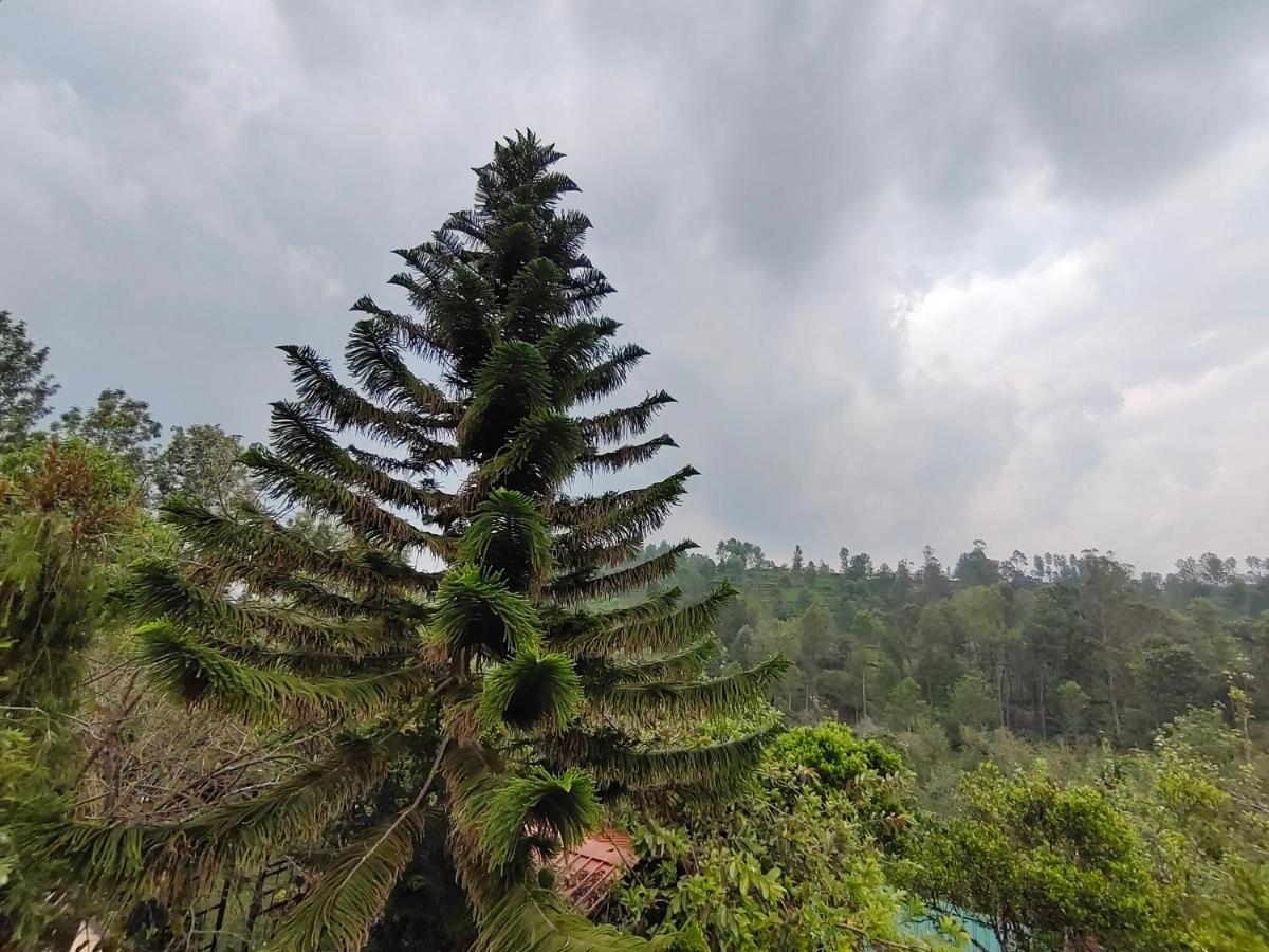 Silver Spruce Entire Nature Villa Котагири Екстериор снимка