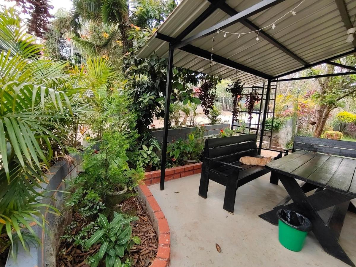 Silver Spruce Entire Nature Villa Котагири Екстериор снимка
