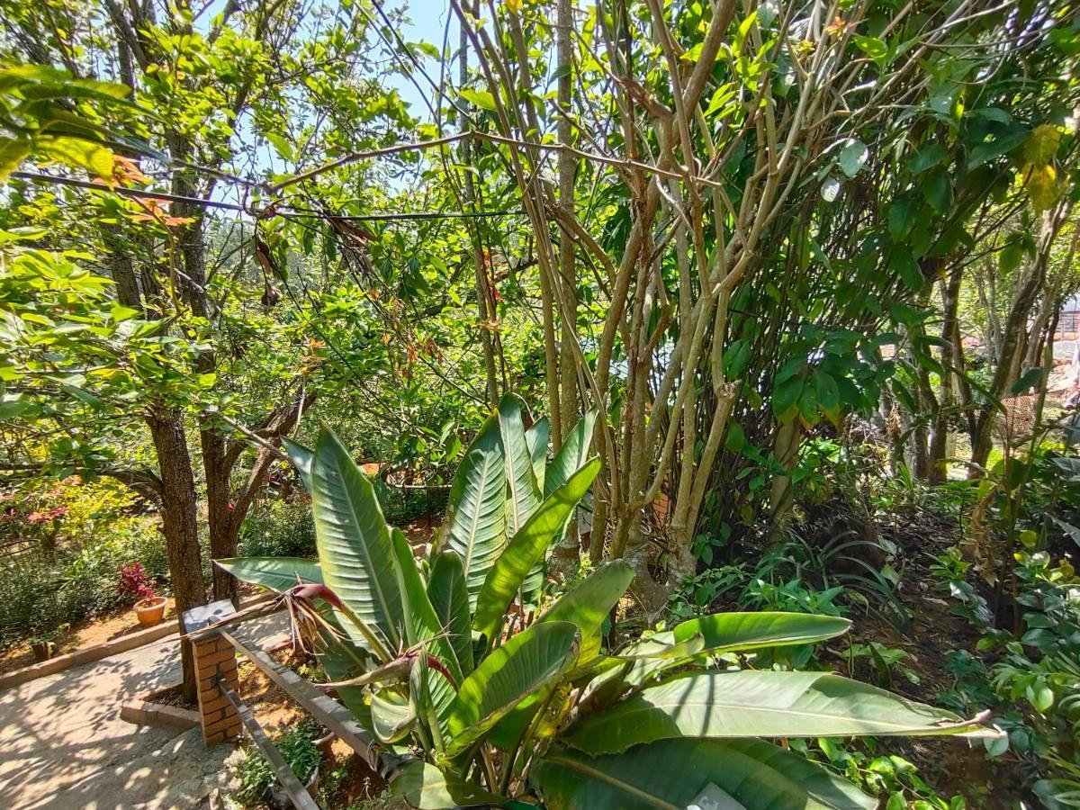 Silver Spruce Entire Nature Villa Котагири Екстериор снимка