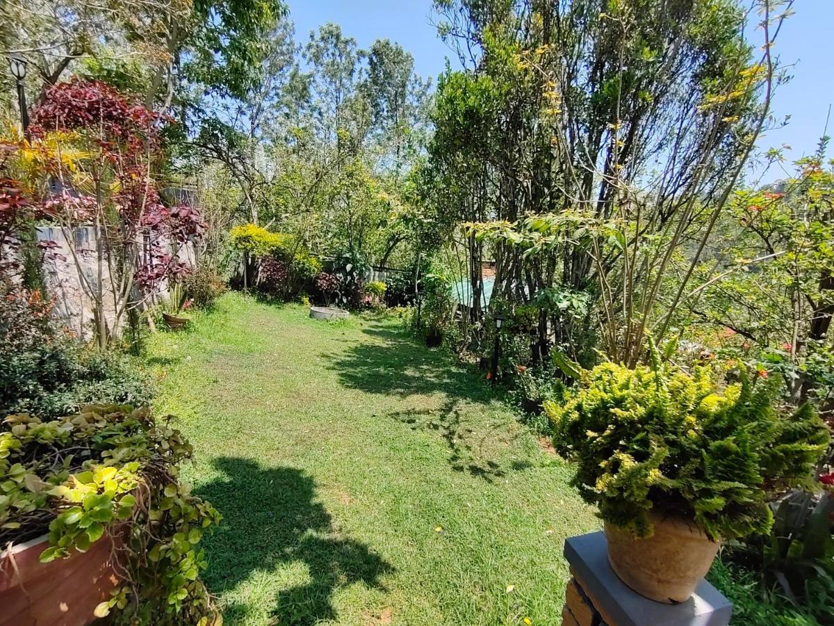 Silver Spruce Entire Nature Villa Котагири Екстериор снимка