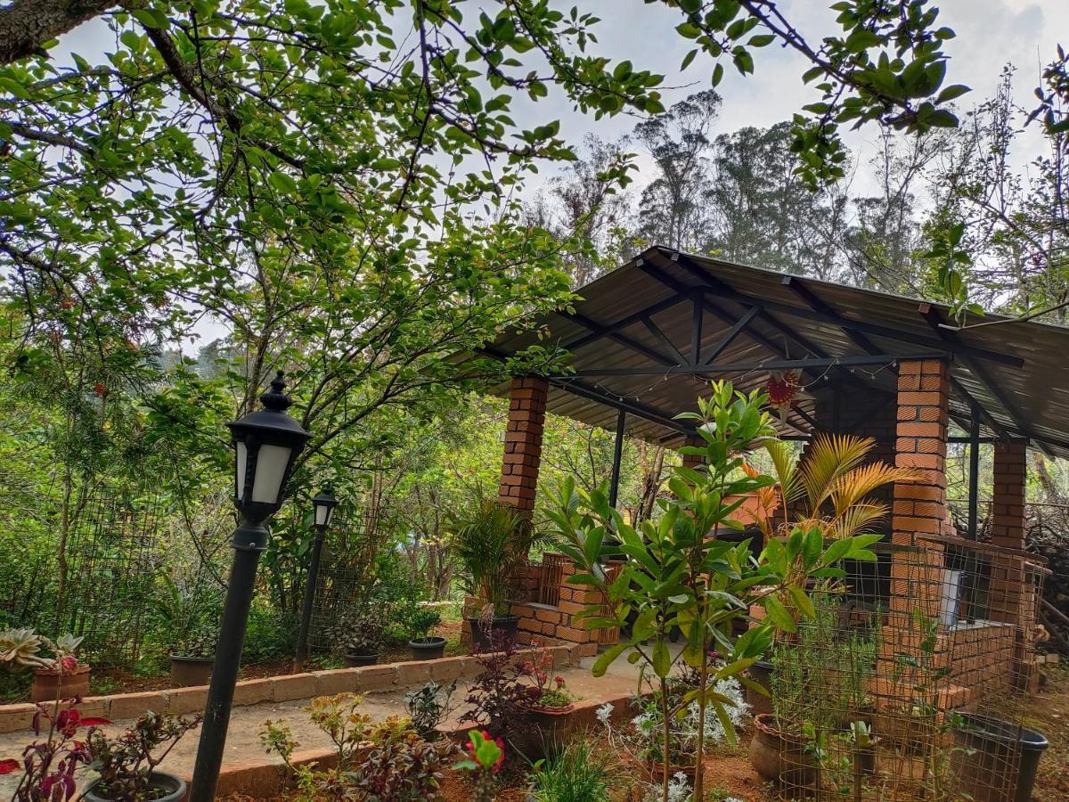 Silver Spruce Entire Nature Villa Котагири Екстериор снимка