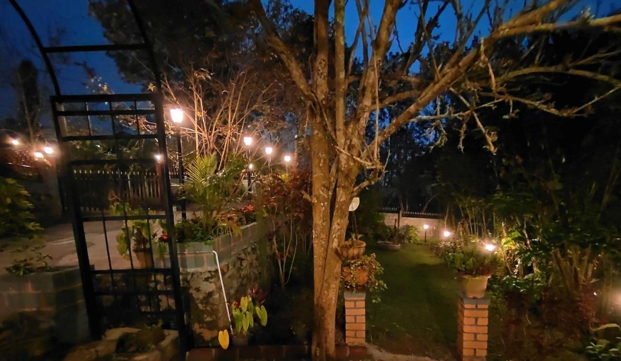Silver Spruce Entire Nature Villa Котагири Екстериор снимка
