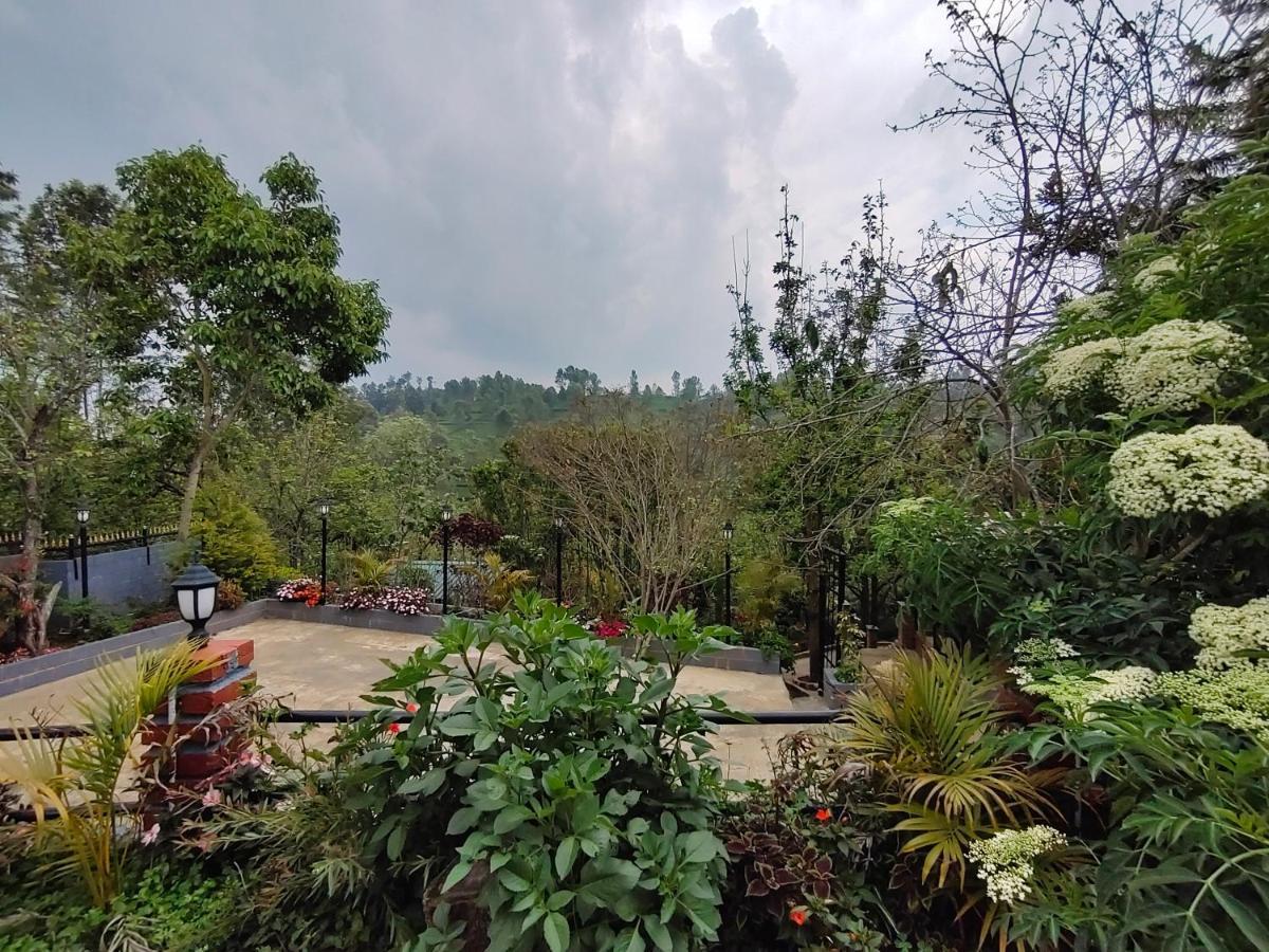 Silver Spruce Entire Nature Villa Котагири Екстериор снимка