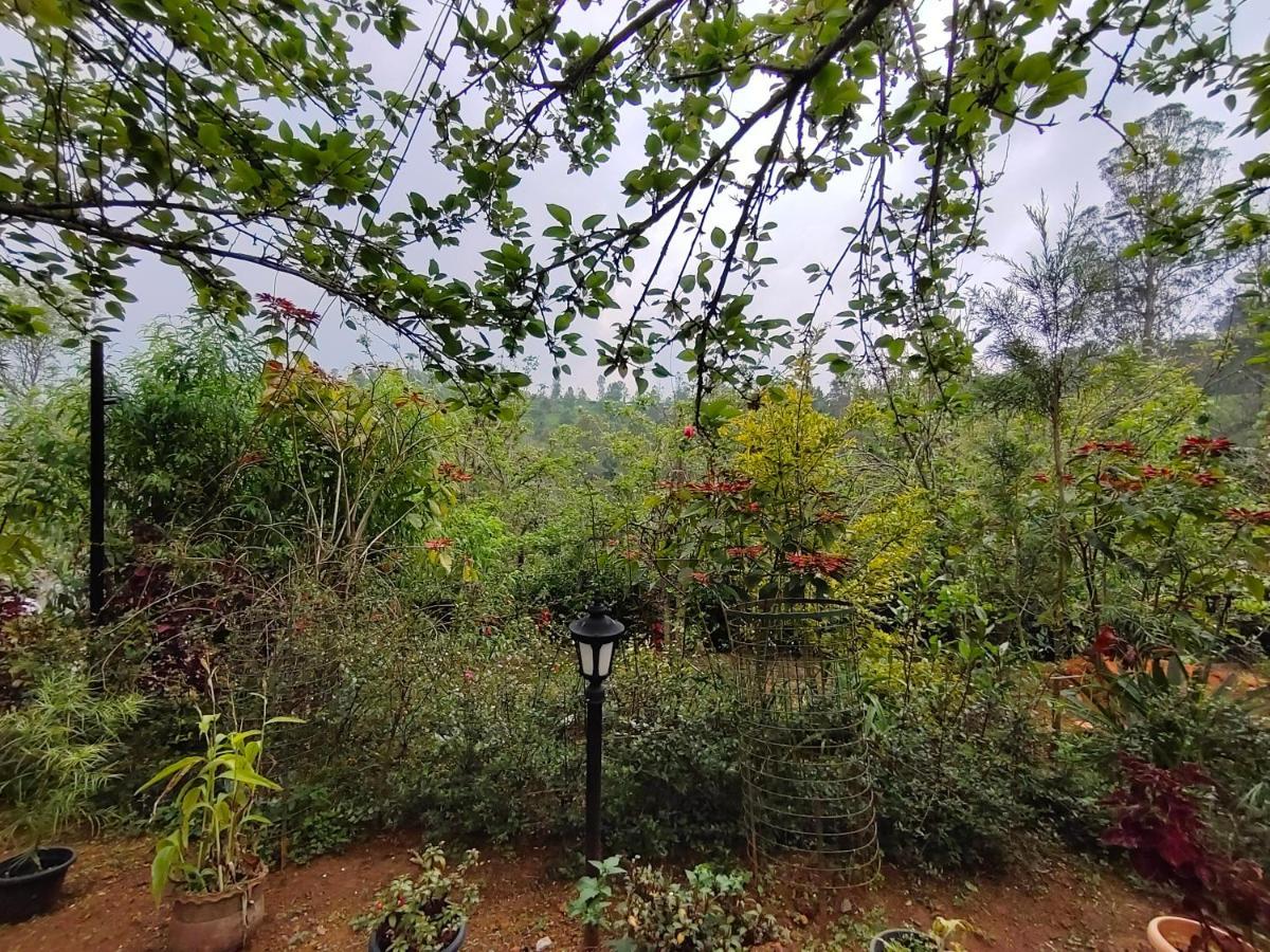 Silver Spruce Entire Nature Villa Котагири Екстериор снимка