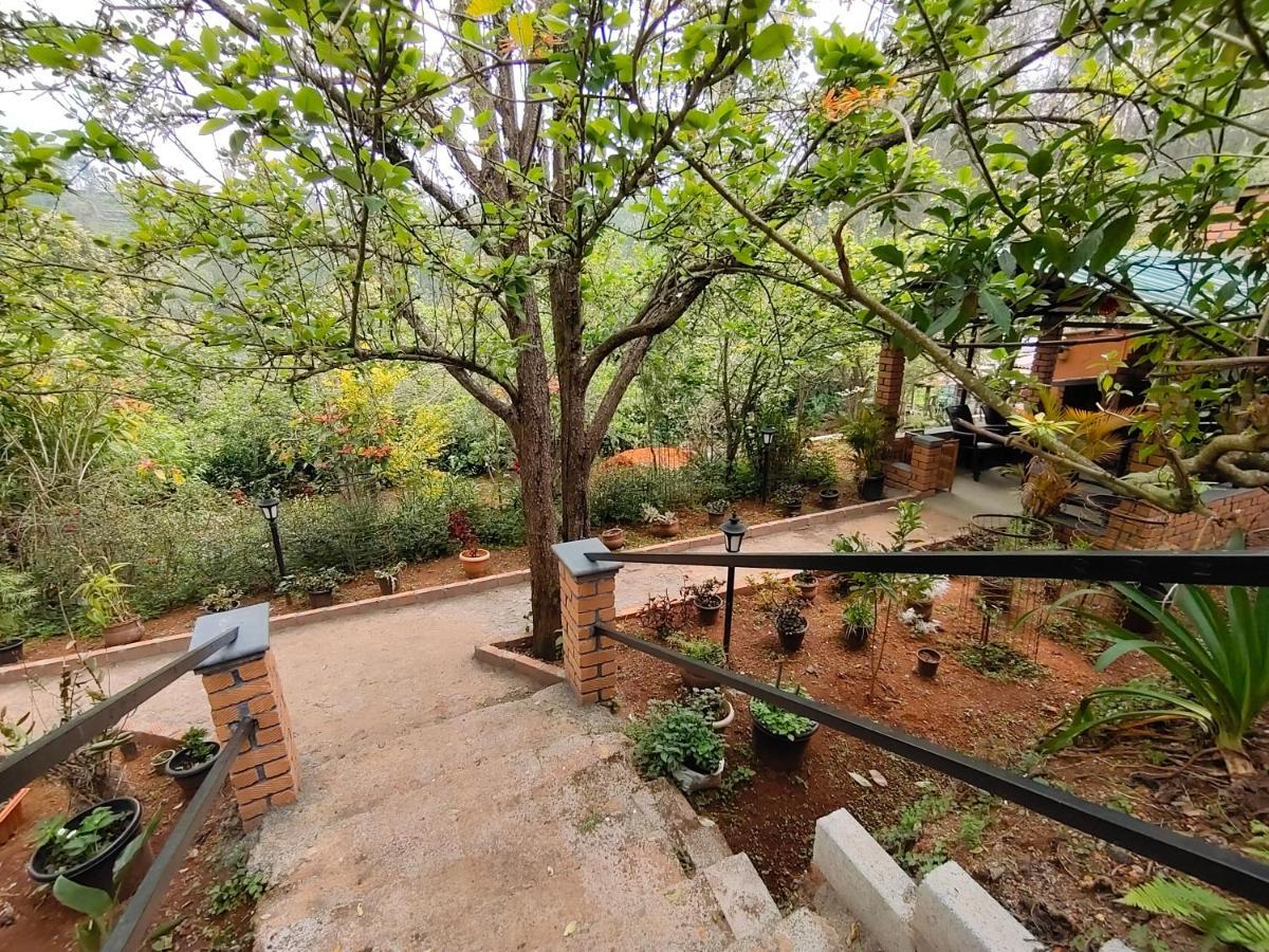 Silver Spruce Entire Nature Villa Котагири Екстериор снимка