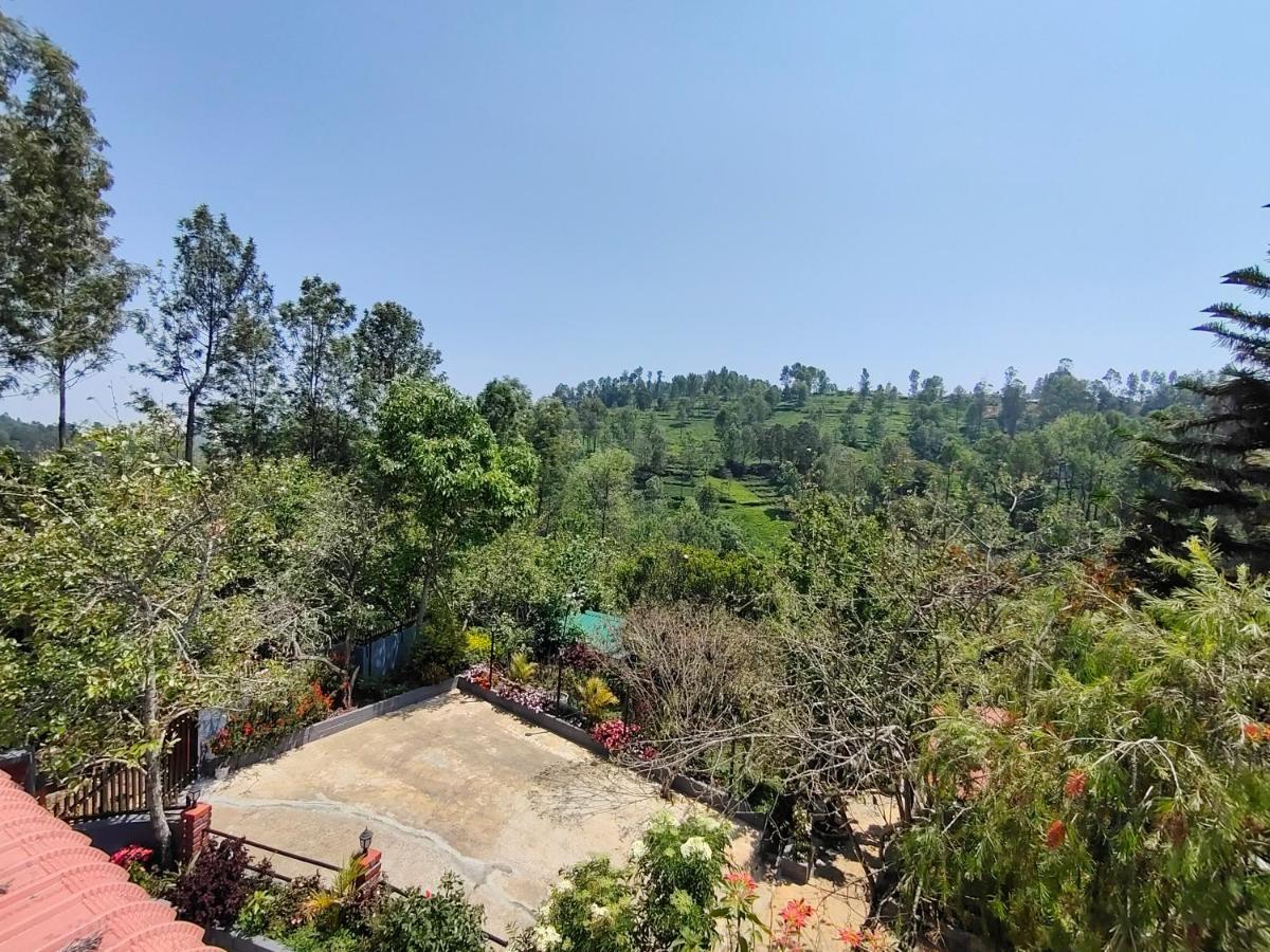 Silver Spruce Entire Nature Villa Котагири Екстериор снимка