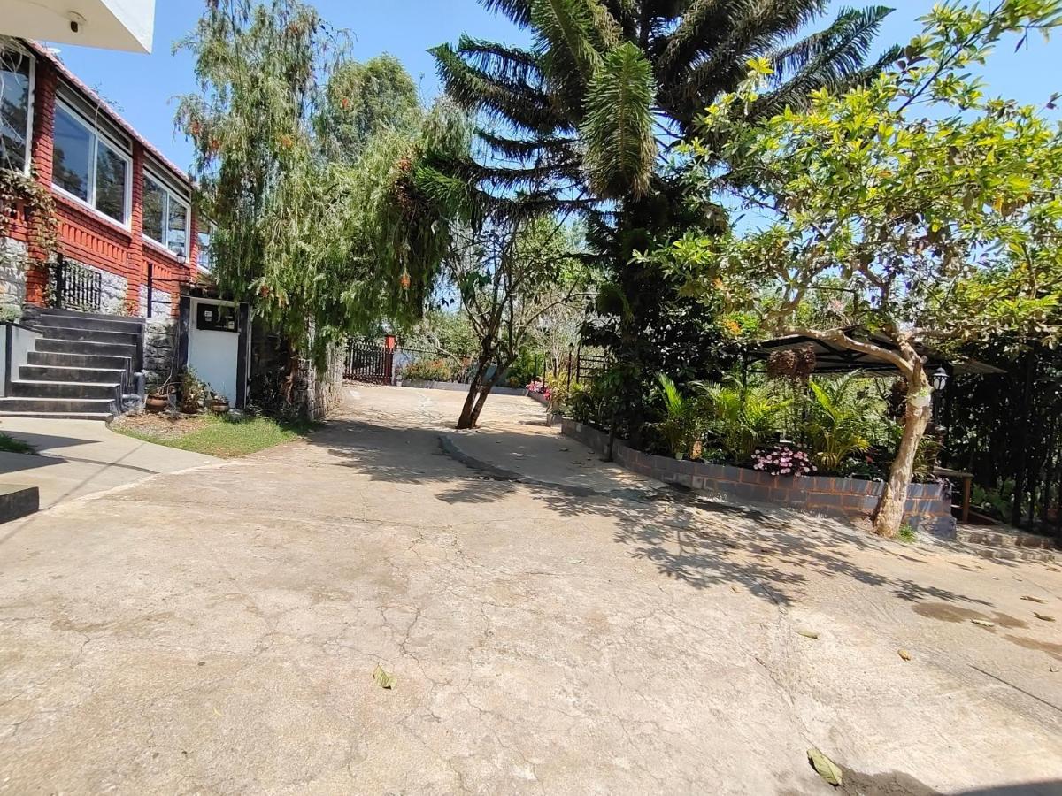 Silver Spruce Entire Nature Villa Котагири Екстериор снимка