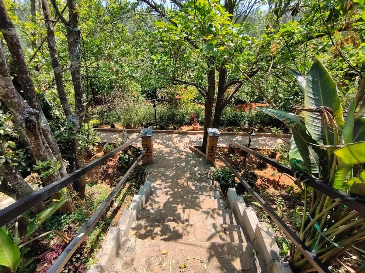 Silver Spruce Entire Nature Villa Котагири Екстериор снимка