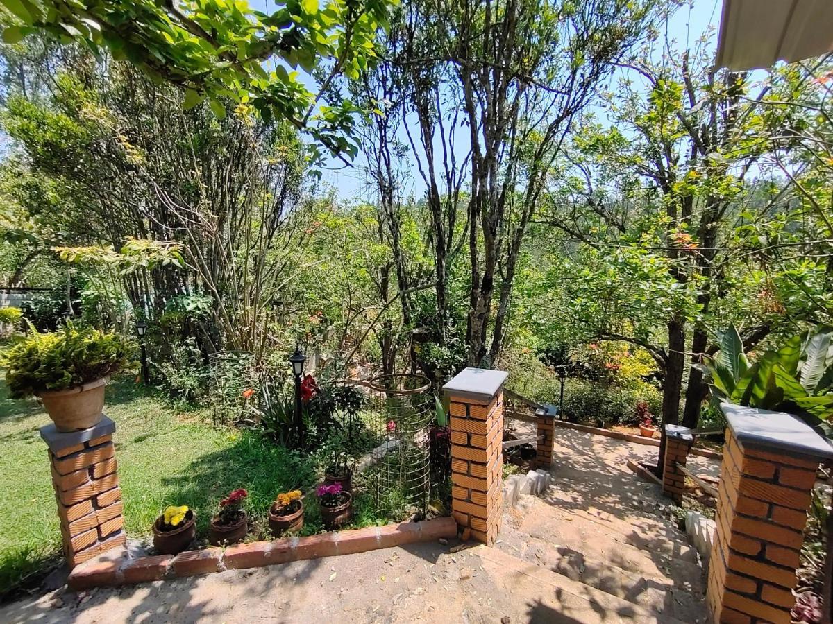 Silver Spruce Entire Nature Villa Котагири Екстериор снимка