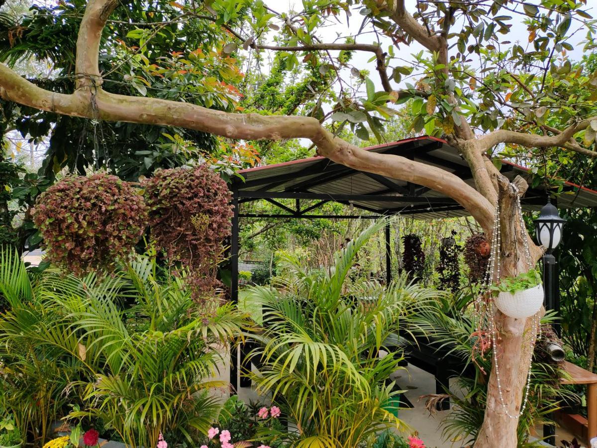 Silver Spruce Entire Nature Villa Котагири Екстериор снимка