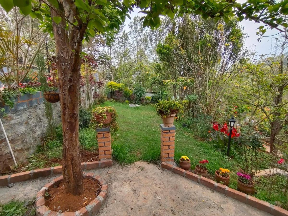 Silver Spruce Entire Nature Villa Котагири Екстериор снимка