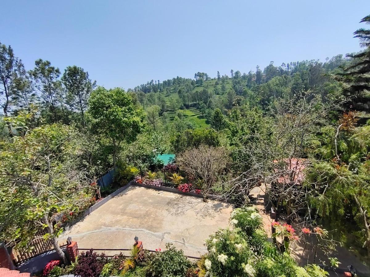 Silver Spruce Entire Nature Villa Котагири Екстериор снимка