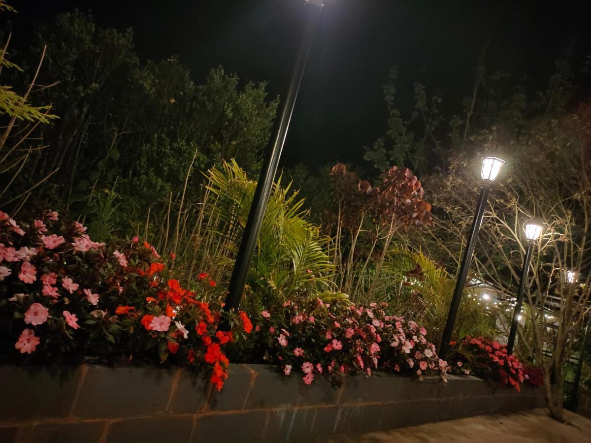 Silver Spruce Entire Nature Villa Котагири Екстериор снимка