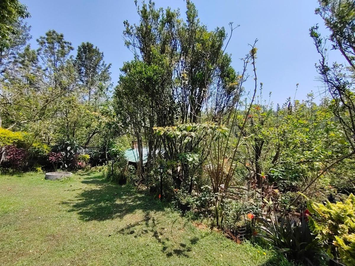Silver Spruce Entire Nature Villa Котагири Екстериор снимка