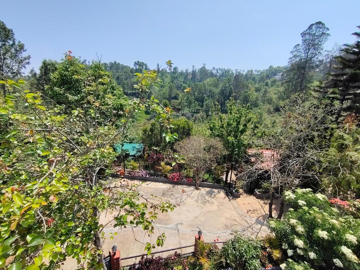 Silver Spruce Entire Nature Villa Котагири Екстериор снимка