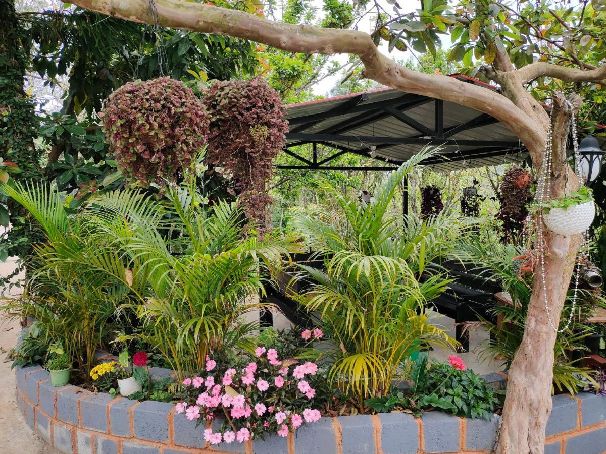Silver Spruce Entire Nature Villa Котагири Екстериор снимка