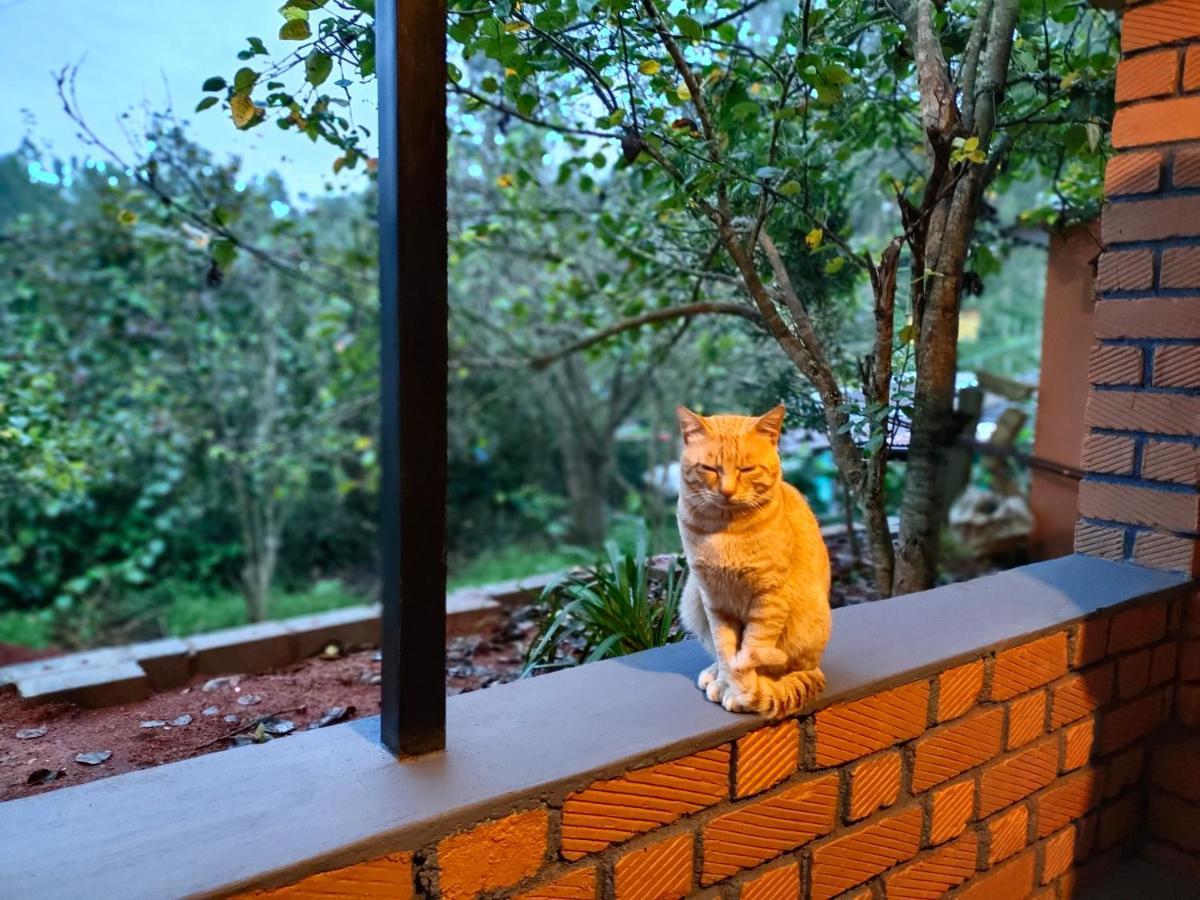 Silver Spruce Entire Nature Villa Котагири Екстериор снимка