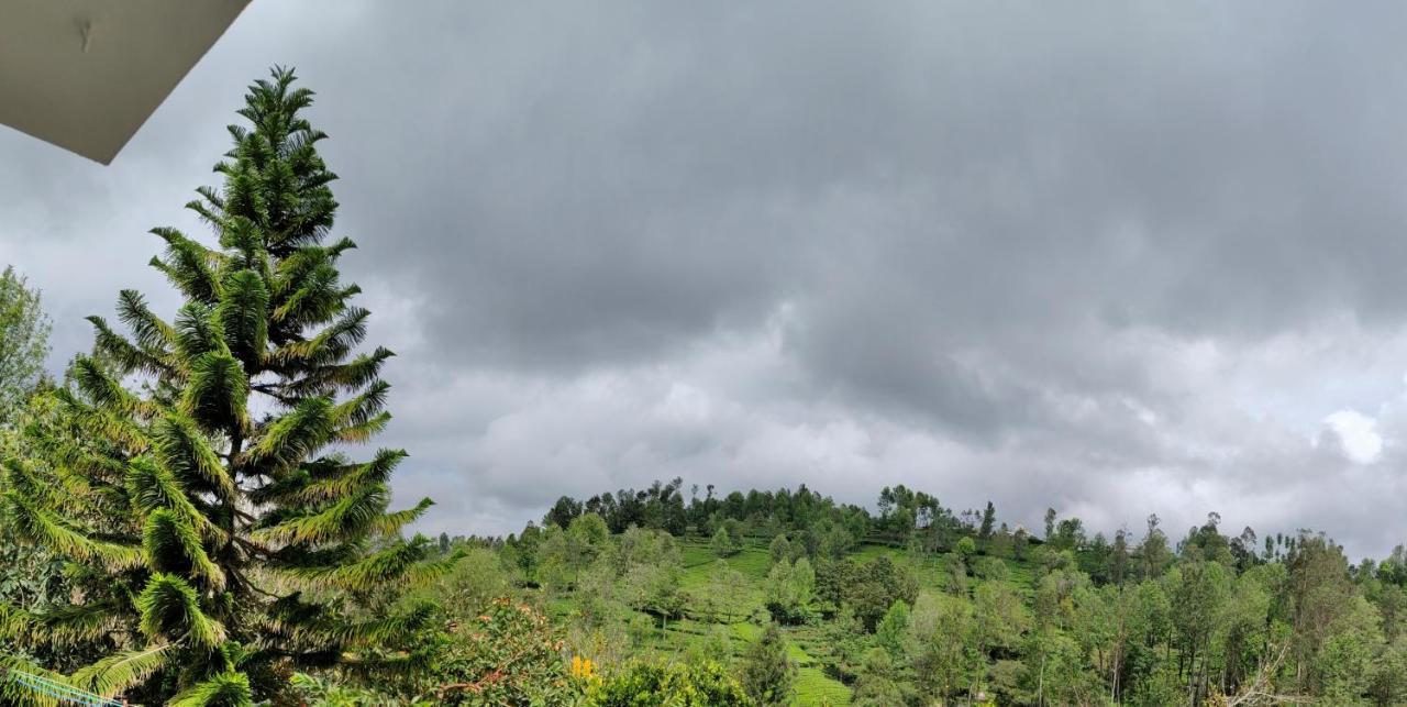 Silver Spruce Entire Nature Villa Котагири Екстериор снимка
