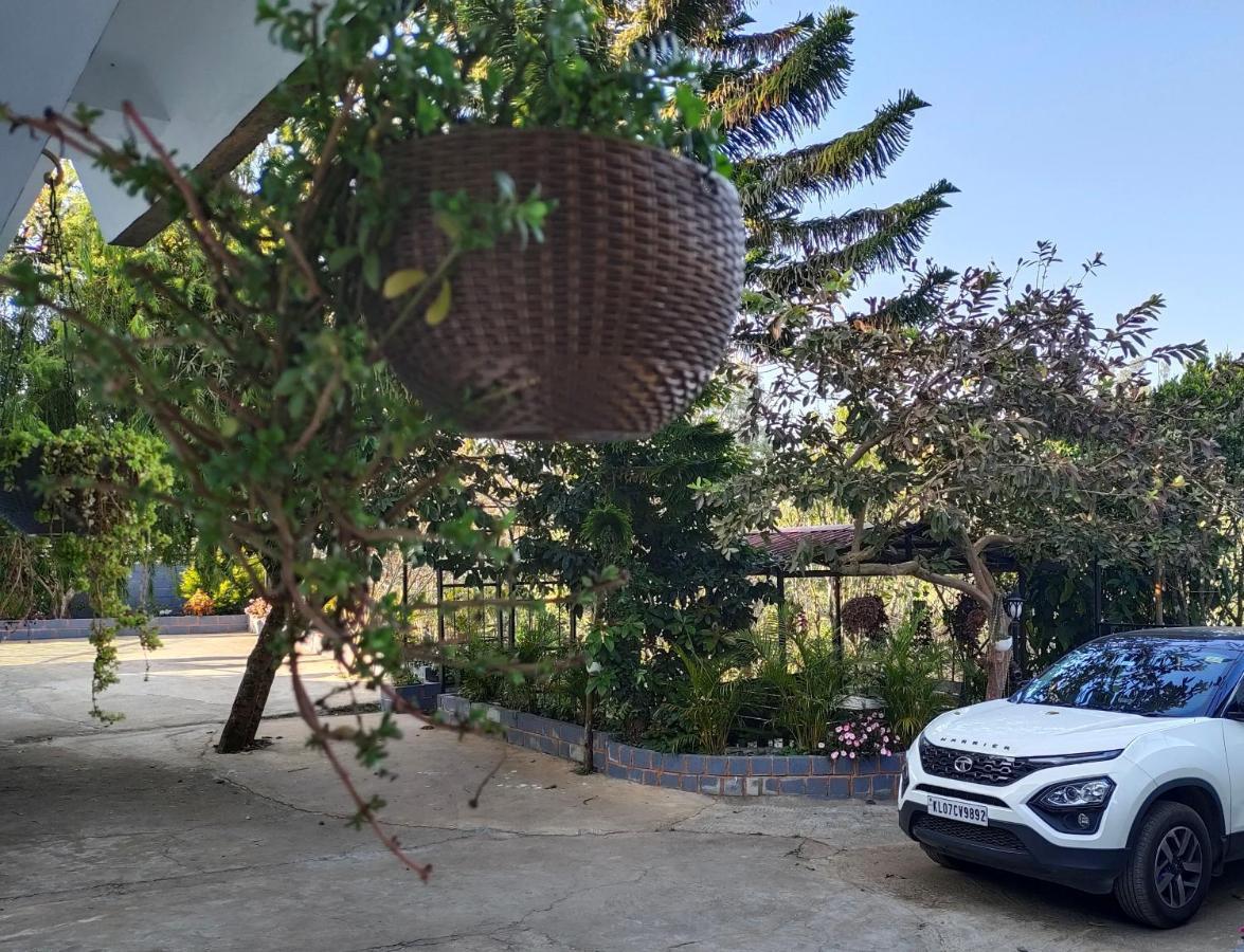 Silver Spruce Entire Nature Villa Котагири Екстериор снимка