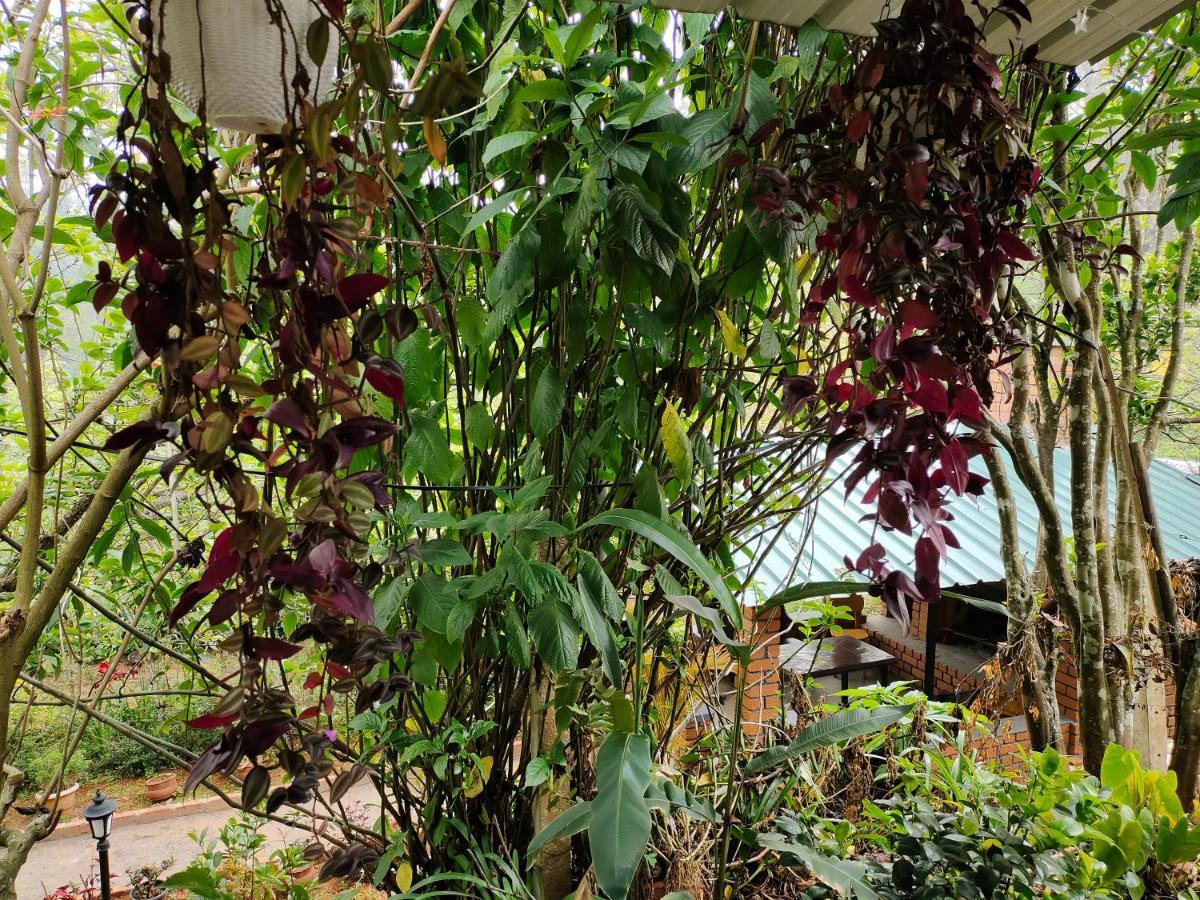 Silver Spruce Entire Nature Villa Котагири Екстериор снимка